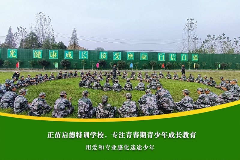 高中男孩厌学成绩下滑，家庭教育如何调整方法？