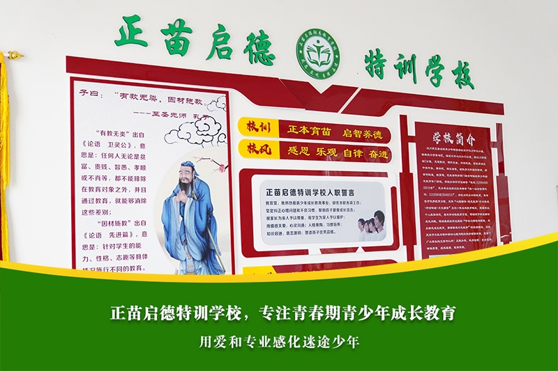 初中女孩叛逆期沉迷网络社交，家庭如何合理控制？