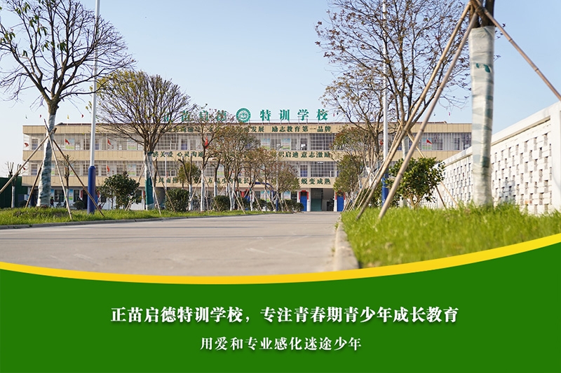 中学生早恋影响学业，老师和家长该如何应对？