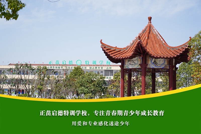 初中男孩沉迷网络，学业还能追上吗？