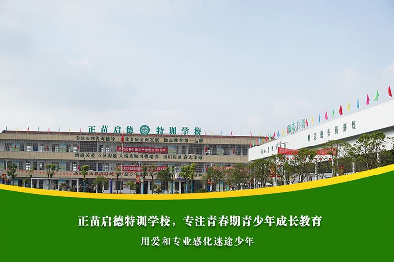 青春期孩子沉迷手机社交会引发哪些心理问题？