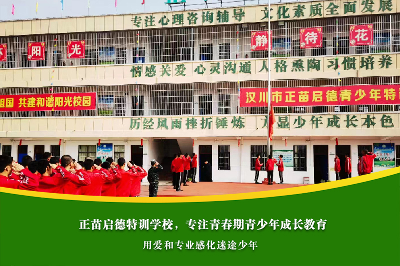 中学男孩叛逆期顶撞老师频繁，学校如何科学应对？