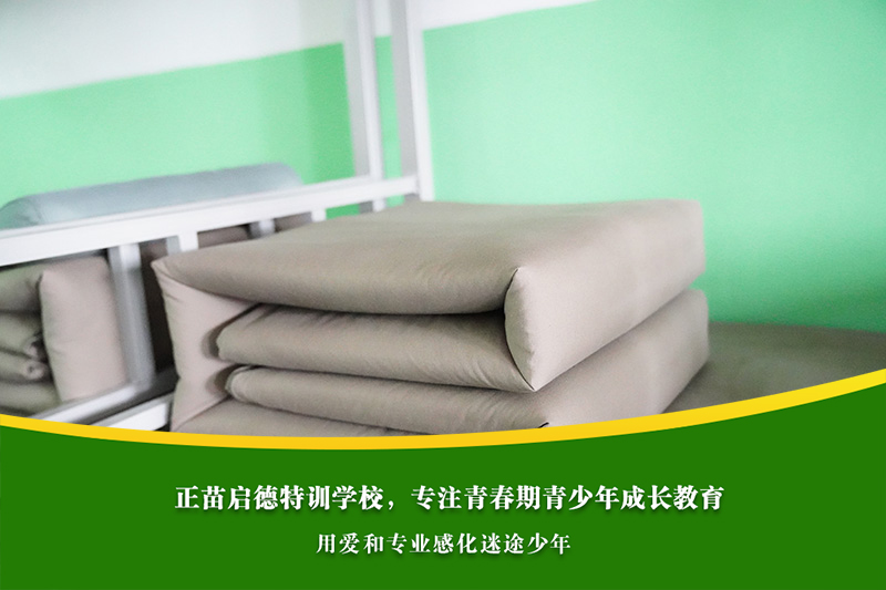 高中男孩厌学，兴趣辅导能否逆转成绩低谷？