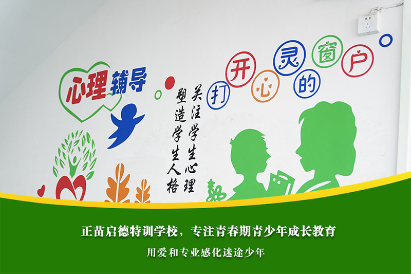 高中女孩沉迷网络，学业和心理能否同时保障？