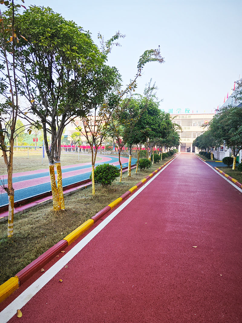 高中女孩打架是否与情绪失控有关？